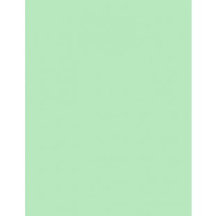 Military Green Card Stock - 8 1/2 x 11 in 80 lb Cover Smooth