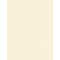 8-1/2 x 11" Letter, 65 Lb. Cover Card Stock, Ivory