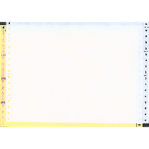 9-1/2 x 7" Continuous Paper, Color, 2 Part, Side Perfs