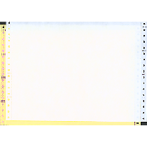12 x 8 -1/2" Continuous Paper, Color, 3 Part, Side Perfs