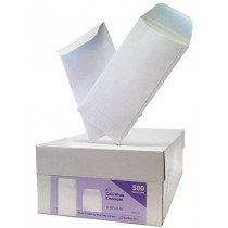 7 Coin Blank Envelope White