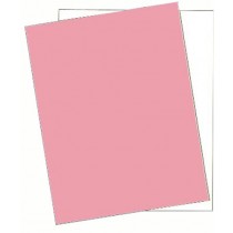 8-1/2 x 11" Laser Carbonless 2 Part Paper 5896 - Case
