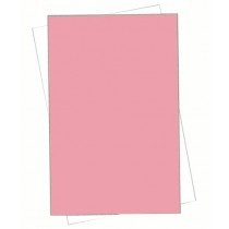 Legal Size 2 Part NCR Paper