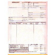 9-1/2 x 11" 5 Part Continuous Entry Summary w/ Permit 