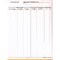 9-1/2 x 11" 5 Part Continuous Entry Summary Continuation Sheet w/ Permit 