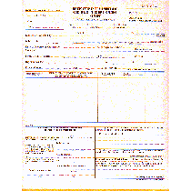 9-1/2 x 11" 5 Part Continuous Transportation Entry  