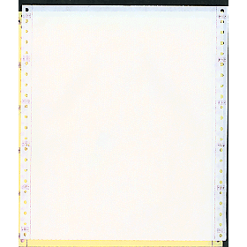 9-1/2 x 11" Continuous Paper 15# Color, 2 Part, Side Perfs