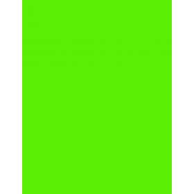 8-1/2" x 11" Fluorescent Green 1 Label per Sheet 8.5 x 11