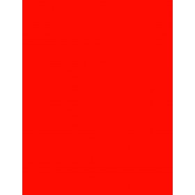8-1/2" x 11" Red Fluorescent 1 Label per Sheet 8.5 x 11