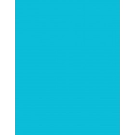8-1/2" x 11" Fluorescent Blue 1 Label per Sheet 8.5 x 11