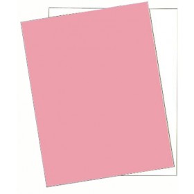 8-1/2 x 11" Laser Carbonless 2 Part Paper 5896 - Case