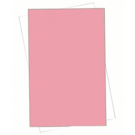 Legal Size 2 Part NCR Paper