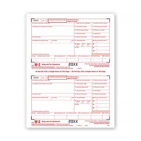 2025 Laser W-2, Federal Copy A