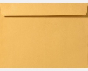 9 x 12 Booklet Envelopes With Imprint 