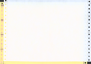12 x 8 -1/2" Continuous Paper 15# Color, 2 Part, Side Perfs