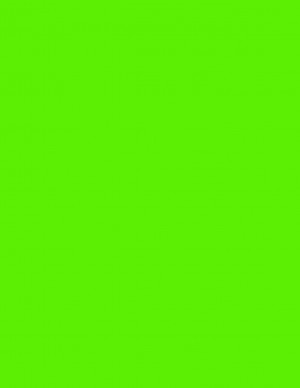 8-1/2" x 11" Fluorescent Green 1 Label per Sheet 8.5 x 11