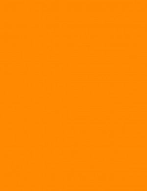 8-1/2" x 11" Fluorescent Orange 1 Label per Sheet 8.5 x 11