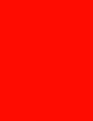 8-1/2" x 11" Red Fluorescent 1 Label per Sheet 8.5 x 11