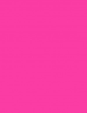 8-1/2" x 11" Pink Fluorescent 1 Label per Sheet 8.5 x 11
