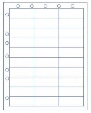 Sheet with 30 Labels, and Hole Punching